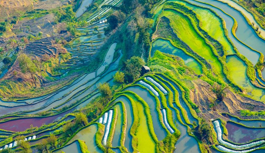 走进泾阳县TVC拍摄：解锁本地化场景与创意镜头的完美融合